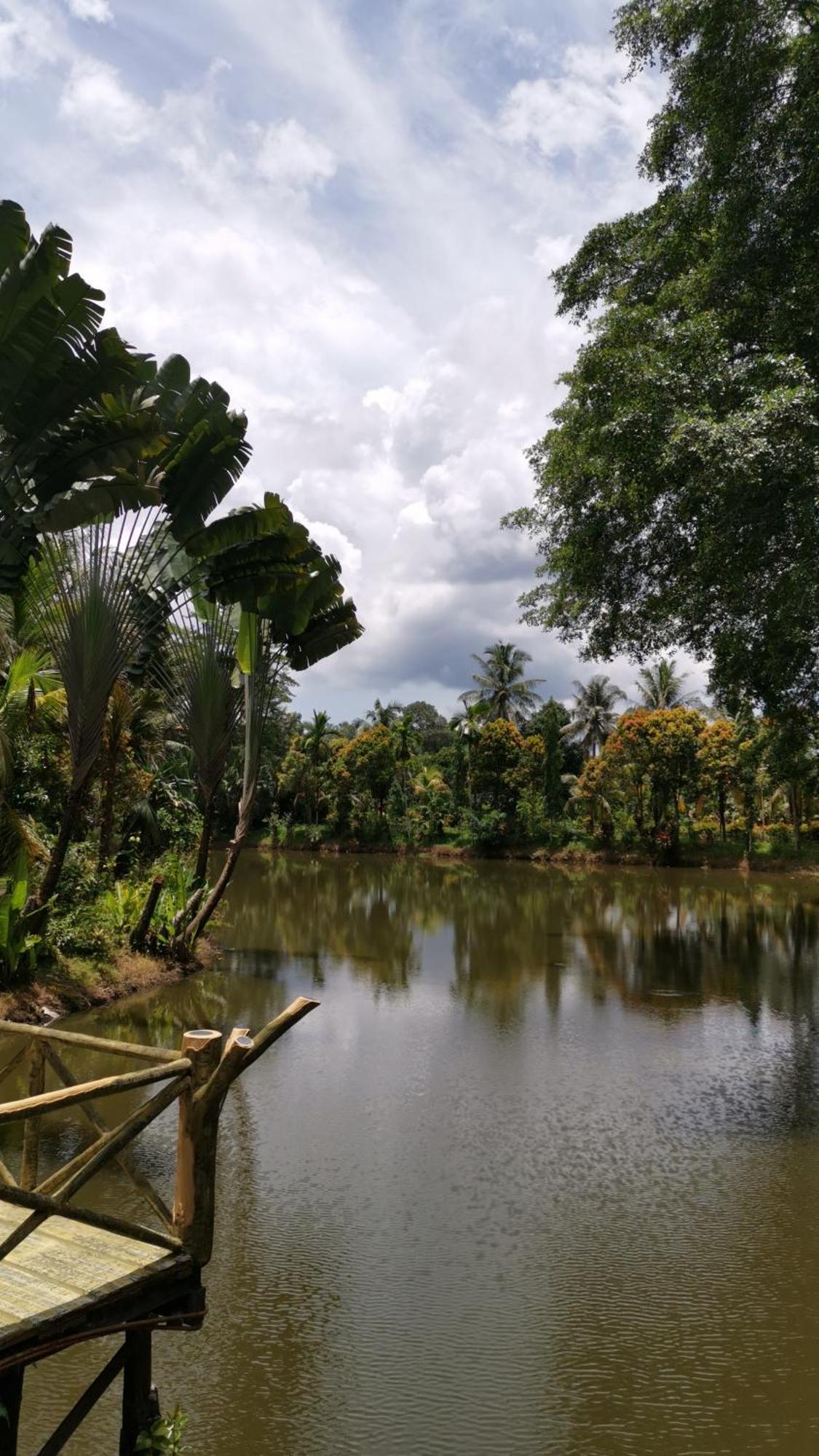 Sepilok Jungle Resort Ngoại thất bức ảnh