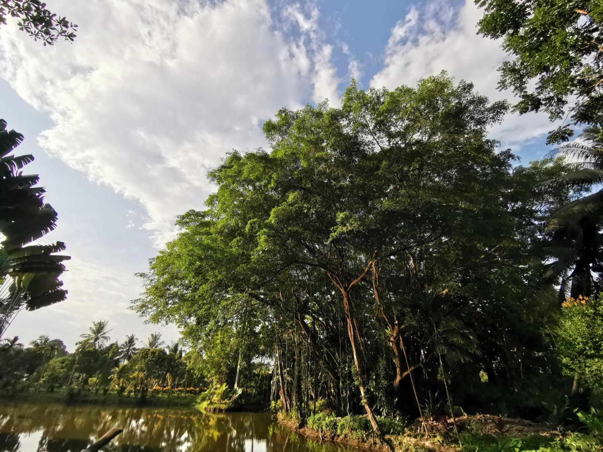 Sepilok Jungle Resort Ngoại thất bức ảnh