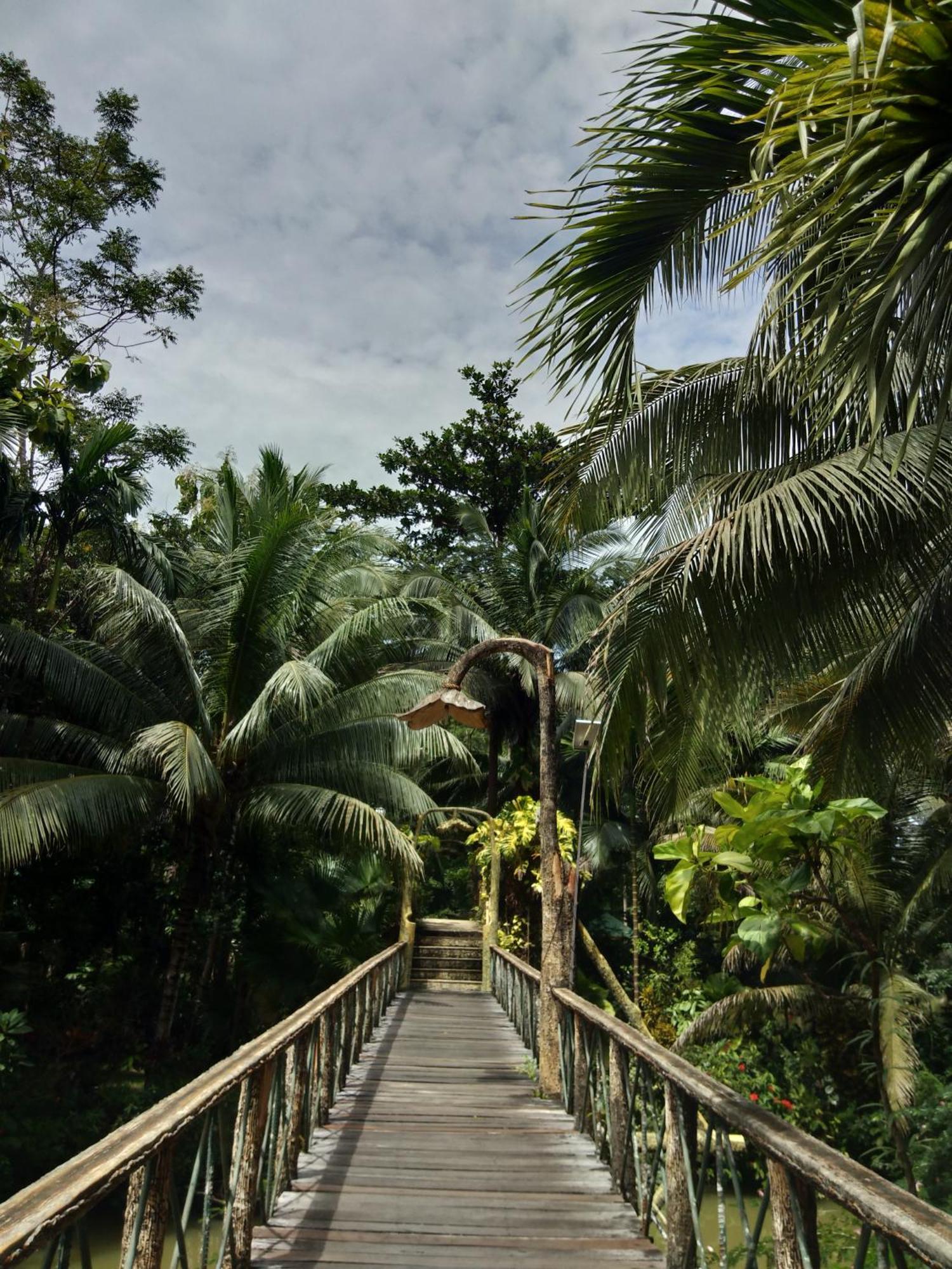 Sepilok Jungle Resort Ngoại thất bức ảnh