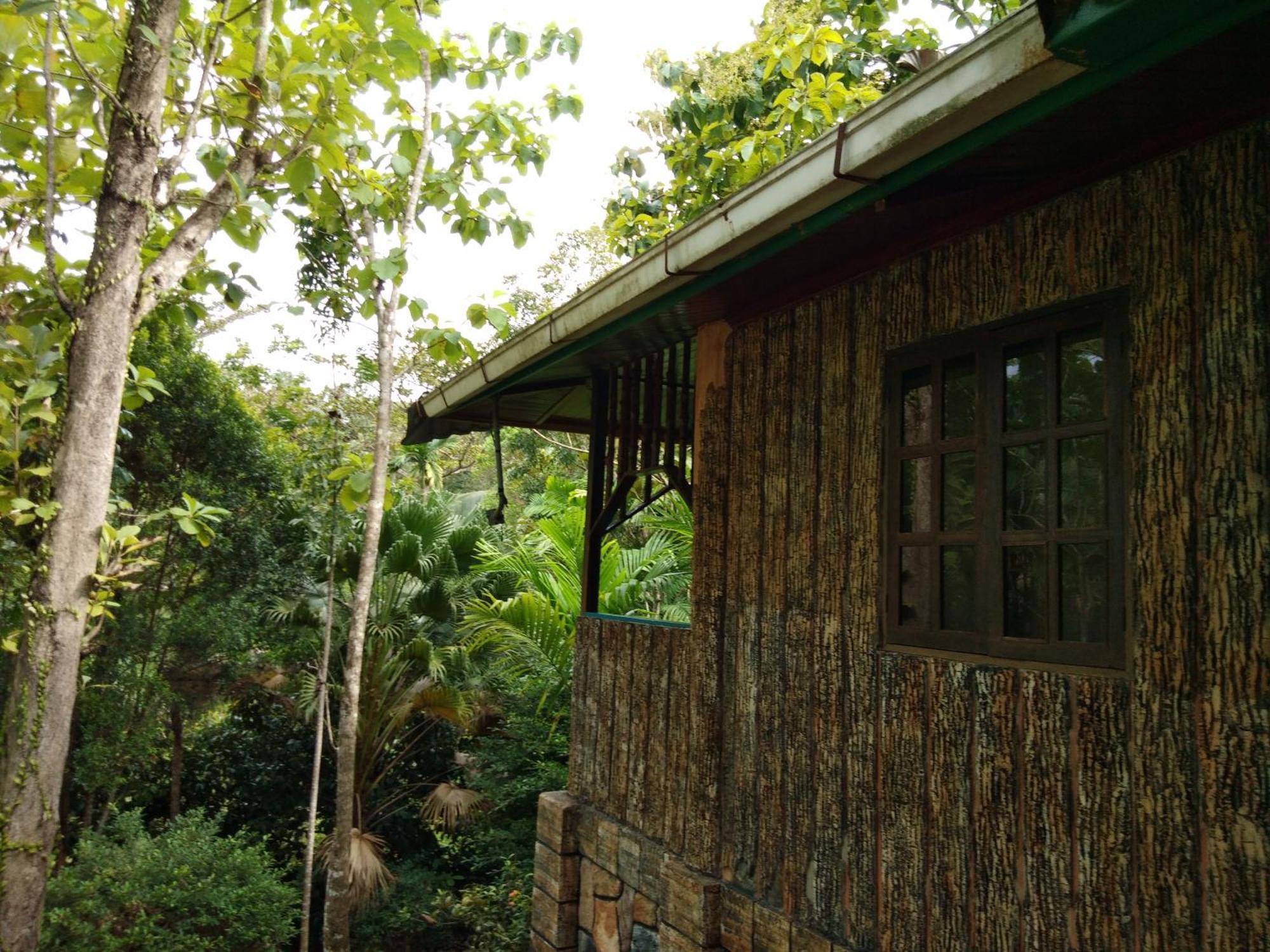 Sepilok Jungle Resort Ngoại thất bức ảnh