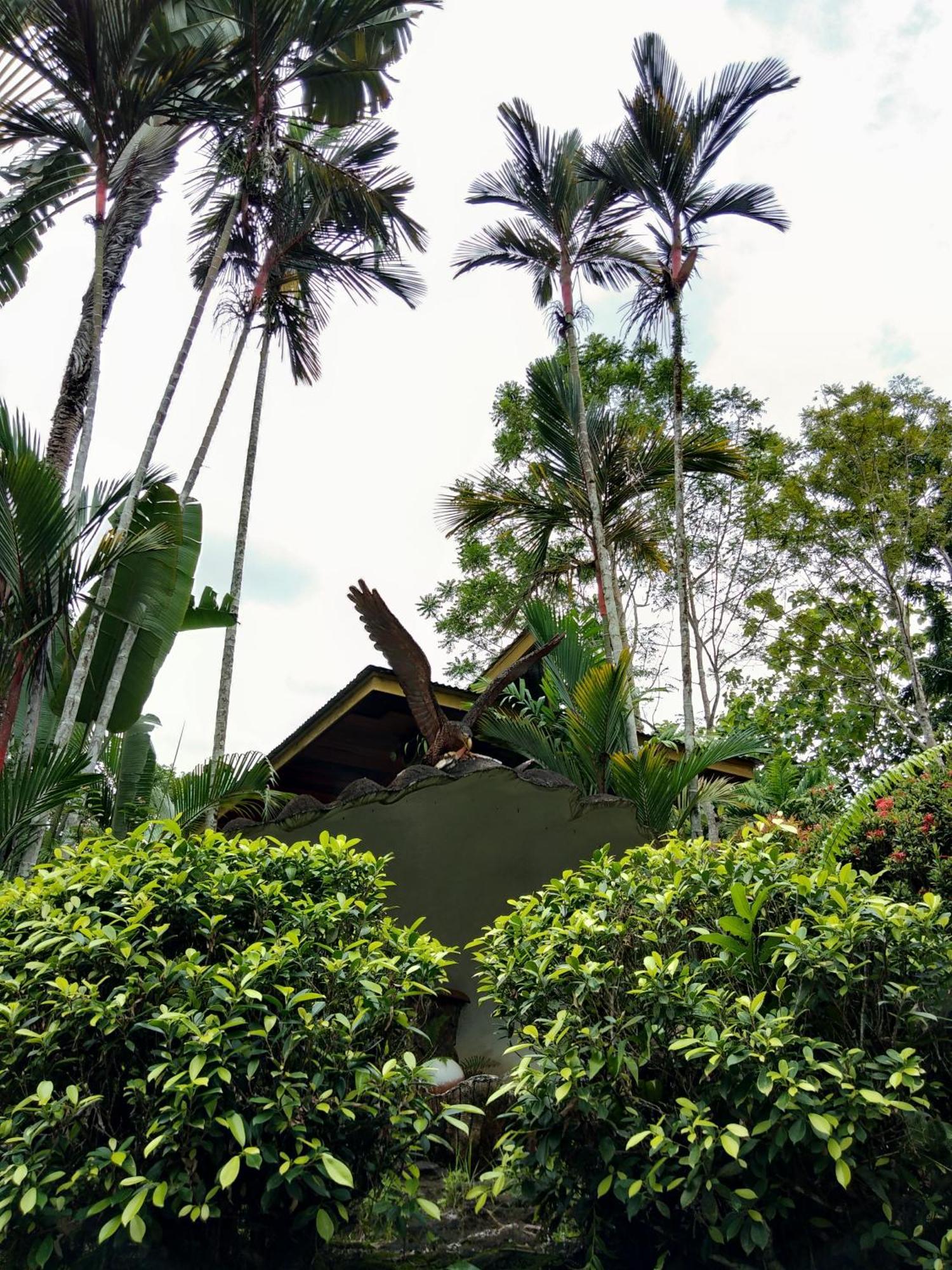 Sepilok Jungle Resort Ngoại thất bức ảnh